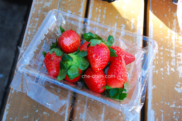 Enjoying Strawberries @ Shinjuku Gyoen, Tokyo